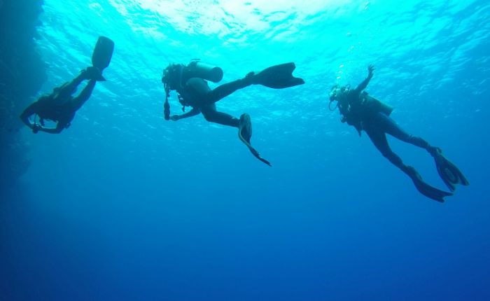 On Diving; or, The Scariest Thing I’ve Ever Done